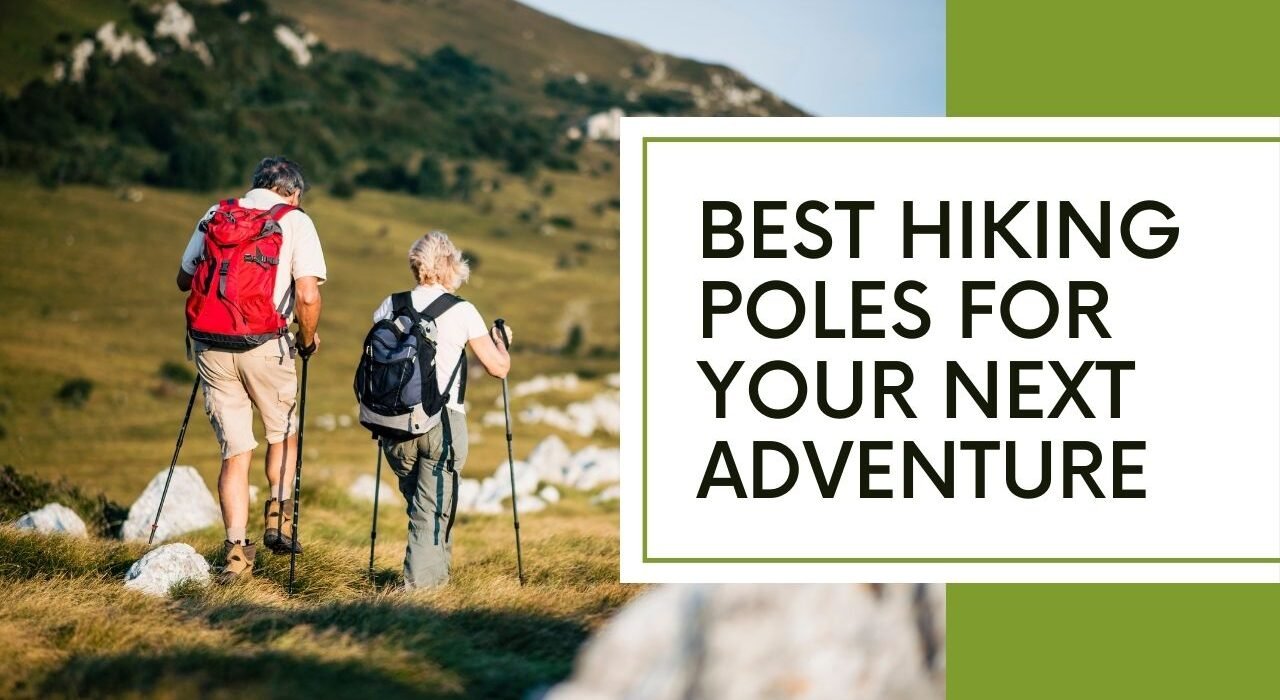 Image of Best Hiking poles for Your Next Adventure