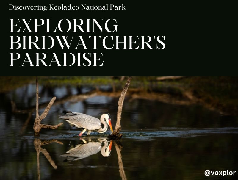 Image of Keoladeo National Park Exploring Birdwatcher's Paradise