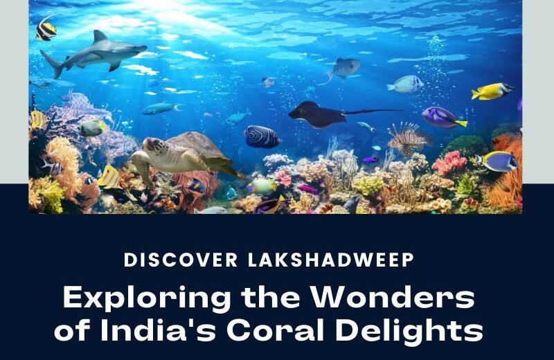 Image of Lakshadweep Exploring the Wonders of India's Coral Delights