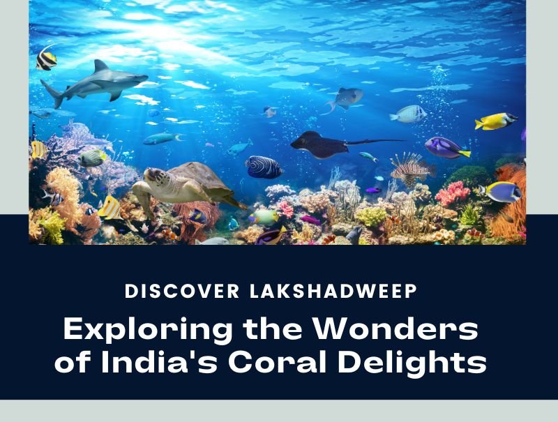 Image of Lakshadweep Exploring the Wonders of India's Coral Delights