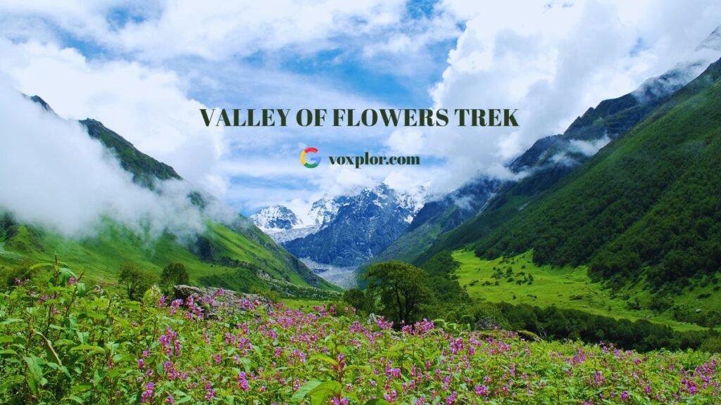 Valley of Flowers trek