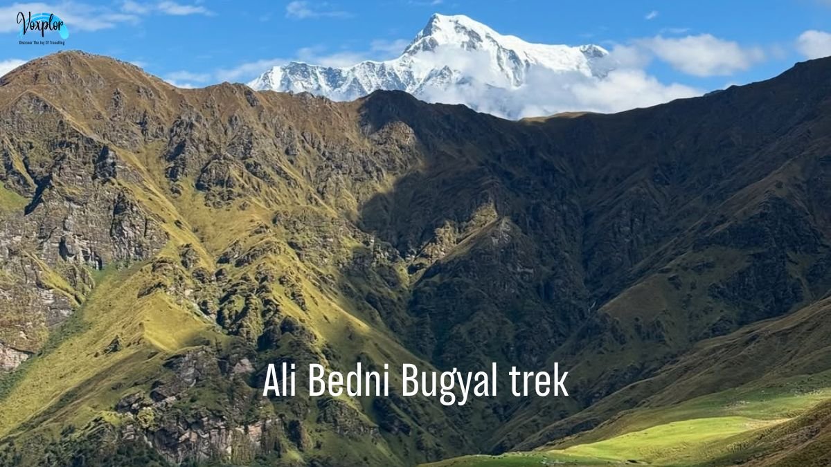 Ali Bedni Bugyal trek