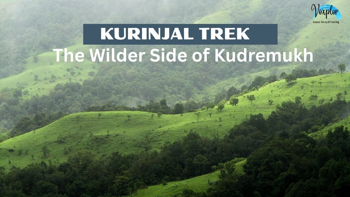KURINJAL TREK