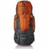 Wildcraft Backpack